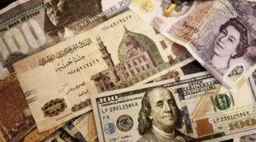 استقرار جديد في سعر الدولار بالبنك المركزي والبنوك الخاصة خلال تعاملات 3 مارس